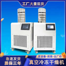 真空冻干机食品中药果蔬立式小型真空冷冻干燥机科研实验室冻干机
