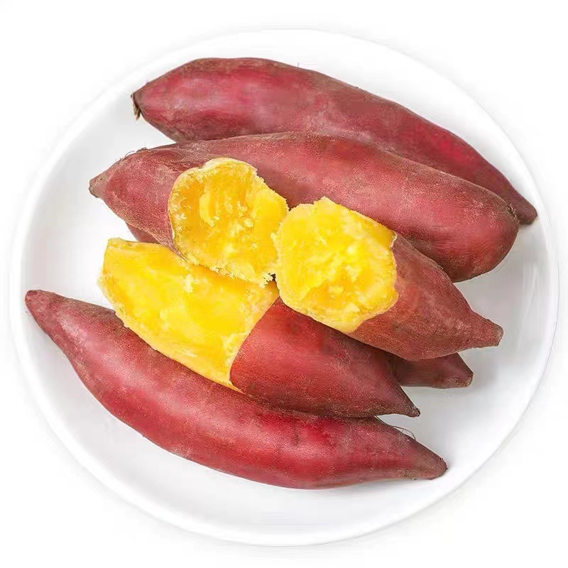 天目小香薯现挖现发新鲜蔬菜板栗红薯番薯粉糯小香薯一件代发