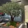 仿真茶室植物大型橄榄树