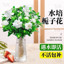 ˮdӻ҃ļB_Gֲһ]uͨ