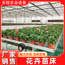 大棚室内移动育苗床金属铁丝网温室种植床育秧基地苗床厂碳钢植物