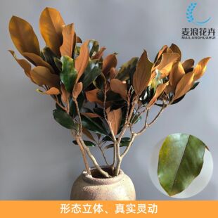 �ɻ��p���~�����~�}���~�~��ֲ����~�����~�Ҿӱ��r�������b�