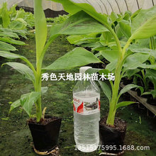 �㽶��Ž�С�׽���۽���ʵ۽���ؕ���t���н�9̖��������ˮ��