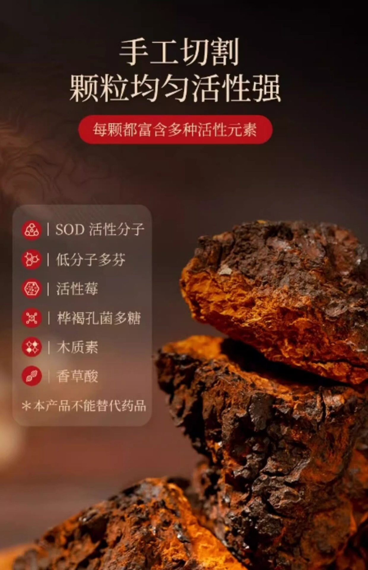 Wild Birch Chaga Mushroom 1000g Natural Sun Dried Siberian Inonotus obliquus for Decoction and Tea quality and texture