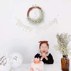 乾花花ins森系生日花環尤加利葉玫瑰滿天星裝飾門飾拍攝道具