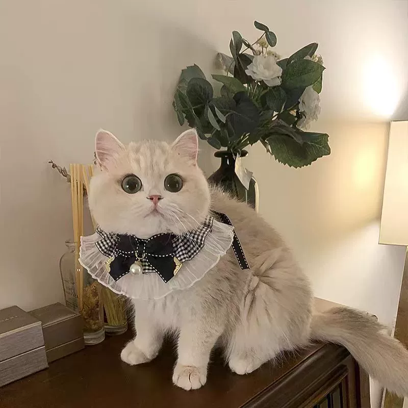 Cute scarf, small bell, choker, bow tie, eating bib, pet, kitten, cat