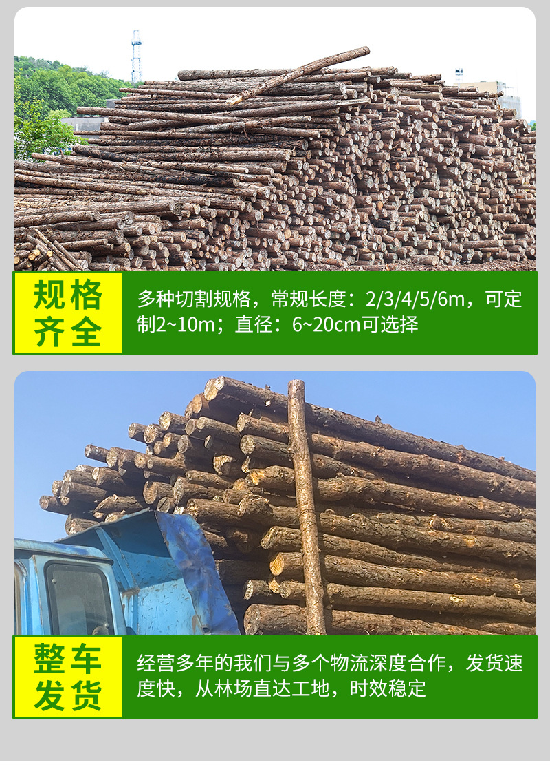 林场直发湖南松木松木桩6米落叶松原木工地河道工程松木桩杉木桩-阿里巴巴