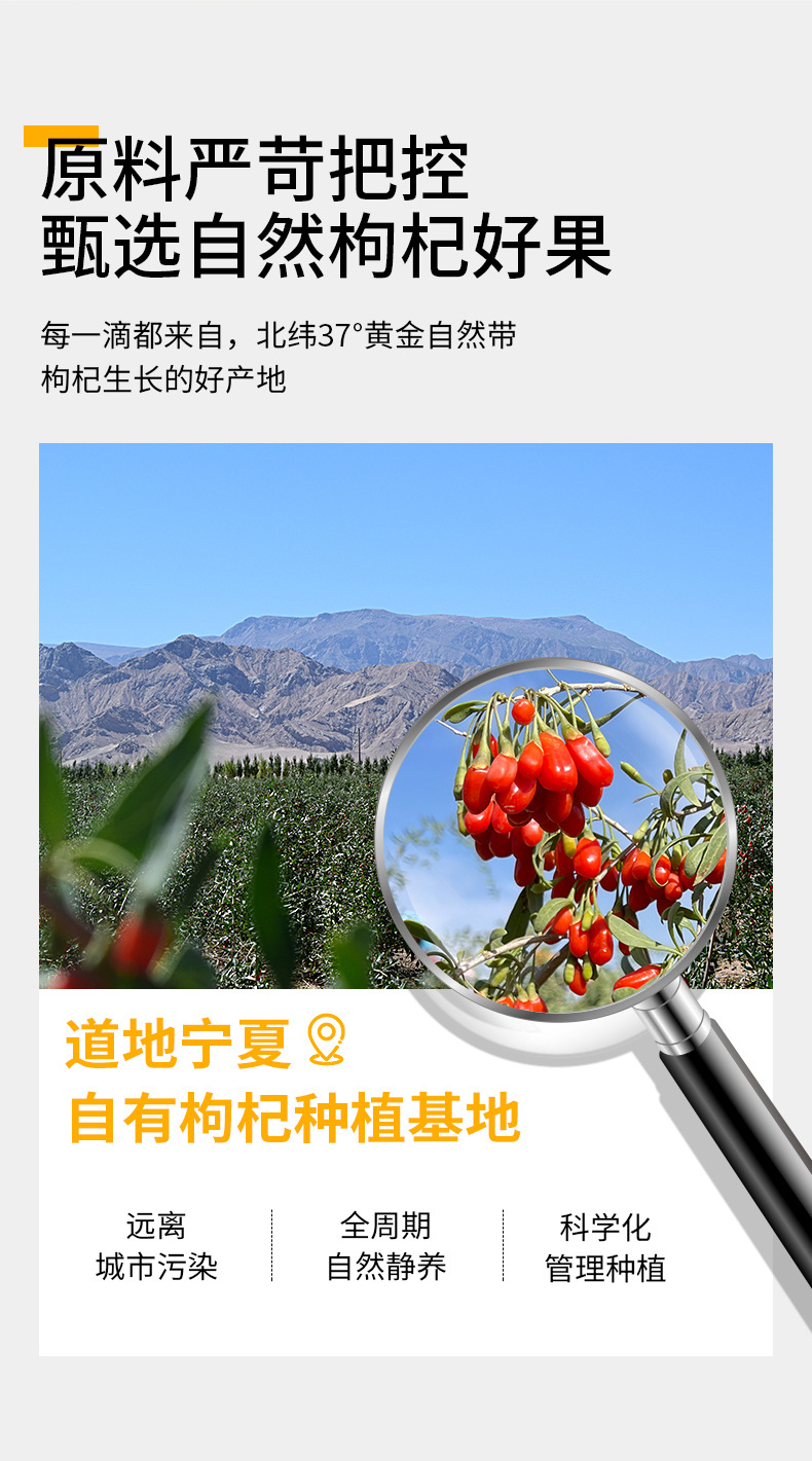 Goji Berry Puree Juice 2.7L 90 Sachets Ningxia Fresh Pressed Wolfberry Drink quality and texture