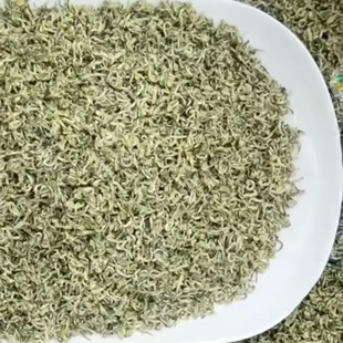 �G����ݴ��ؼ�2026������͸�ɽ��F�G��Y���b���L݅�Լ���ɢ��