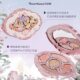 Flower Know Midsummer Night Series Embossed Five-Color Eye Shadow Plate Pearlescent Matte Comprehensive Eye Shadow Plate