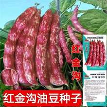 thǷNӸ߮aļNܶ|ͶǷN߲ܿ˷N