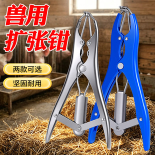 �iţ���ò��P䓔U���Q ��βȦ��β�Q�F��ȥ��Ȧ�oѪ�U���Qȥ���Q