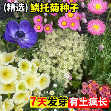 [оջշNӰɫaɻļ_׻ԻN