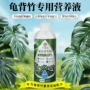 稀释植物浓缩通用型营养液