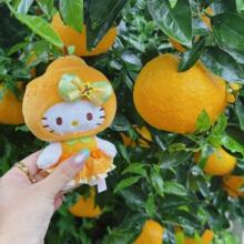 可爱济州岛限定HelloKitty橘子挂件包包毛绒挂件公仔书包卡通挂饰