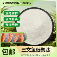 三文鱼低聚肽 小分子活性肽 海洋鱼胶原蛋白肽粉 水溶性 现货包邮