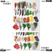 ���Qdiy�������~����~�~���~�����~�S�����~�����˱�����̫��