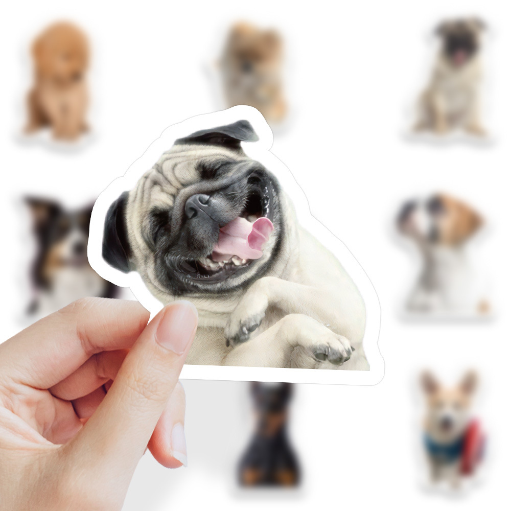 1 Set Dog Cat Learning PVC Self-adhesive Cute Stickers display picture 28
