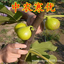 ���r�o������������Ե��԰��������ش���Ƥ�ń��β����t�o������