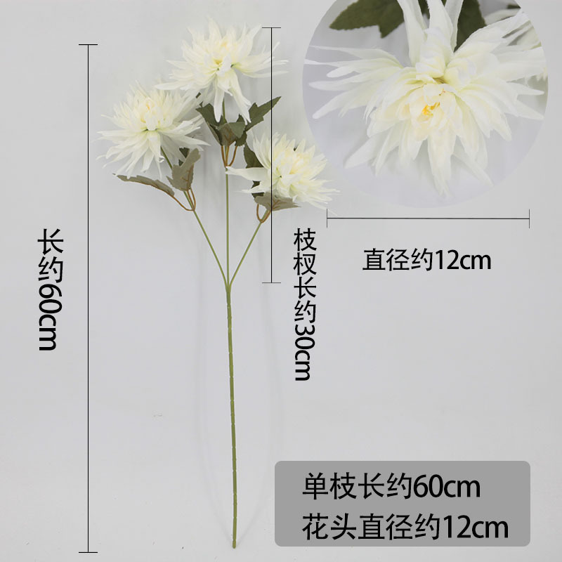 微信图片_20220530100631