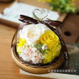 永生花成品玻璃罩摆件盲盒随机款式七夕情人节送女友教师节礼物