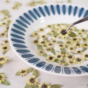 �������տ��ɻ��������z�֙C���W�t����Ę������yϞ�T�����ϰ�