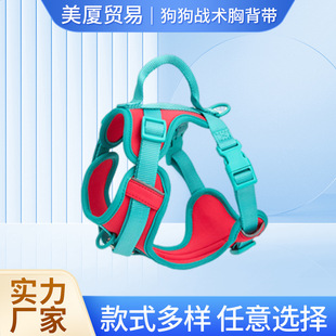 Cross-Border Pet Harness Anti-Bite Waterproof Dog Tactical Harness Comfortable Breathable Pvc Traction Rope Dog Collar