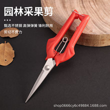 厂家葡萄剪园林工具修枝剪稀果剪盘景园艺尖头果园摘果剪果园专用