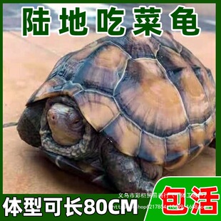 ����ꑵؾ��Ͳ����Բ����ش��������ﺱҊ�L���J������÷����