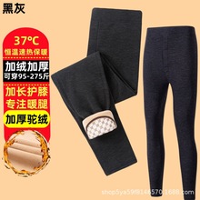 加绒保暖裤石墨烯加大护膝裤男士冬季大码加厚护膝保暖驼绒裤棉裤