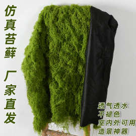 仿真丝状苔藓草坪白发藓仿真羊毛藓假青苔景观布置草坪盆景盆栽