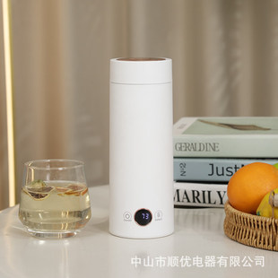 Portable Electric Heating Cup, Home Travel Water Cup, Office Health Water Kettle, Small Student Dormitory Heating Water Kettle