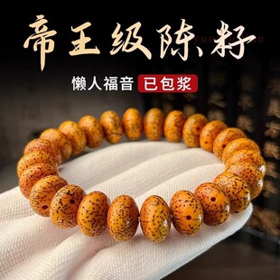 �S���������ִ���P����������·�������P���������L��Ů�����