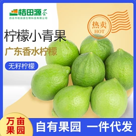 果蔬汁;柠檬;乌龙茶