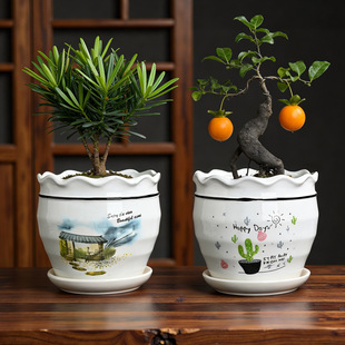 �S��ֱ�N�͹Ň��L�մɻ��� ��̖�_�h���辰�� �̨ͥԺ�Gֲ���Ի�