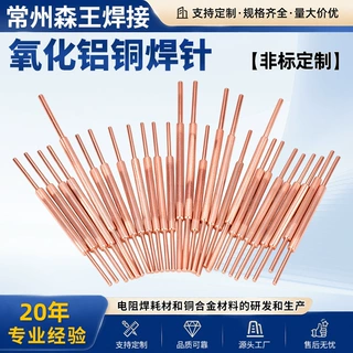 氧化铝铜焊针 18650锂电池组点焊针  双头中心/偏心 非标定制
