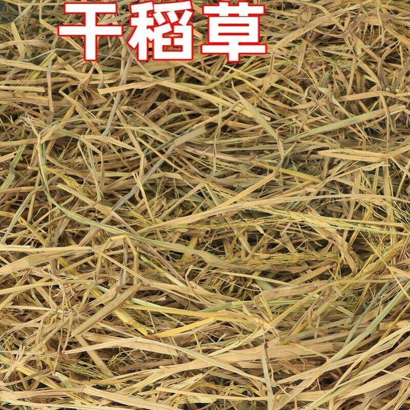 Dry straw bedding for dogs, cats, chickens, ducks, geese, rabbits; winter pet bedding for warmth and cold protection; soft straw Dry straw bedding for dogs, cats, chickens, ducks, geese, rabbits; winter pet bedding for warmth and cold protection; soft straw