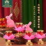赏月供佛玉兔蜡烛