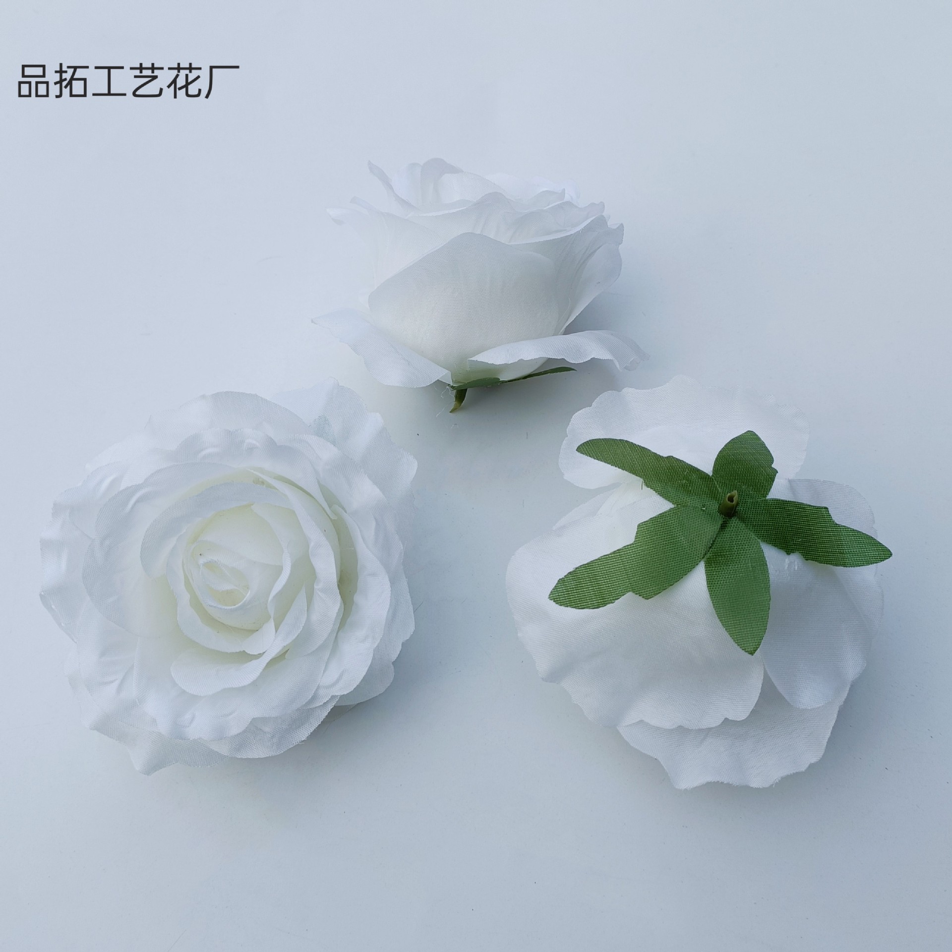 화이트