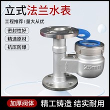 304不锈钢水表 2寸3寸立式法兰水表耐腐蚀酸碱专用大口径机械水表