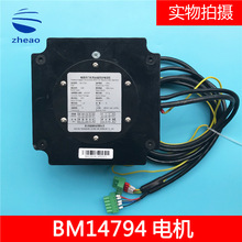 ���ӊW��˹/�������W�������T�C늙C��ʢ��BM14794 94Wȫ��