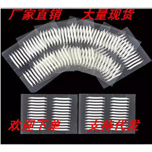 lpN pƤN [ȻճĿz 24N