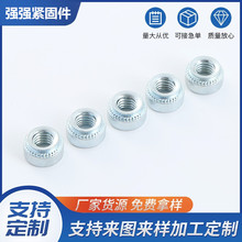 SҬF؛扺TĸqTñAΉĸĸM3M4M5M6M8M10