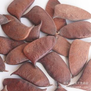 �������������ֲ��������v�ֹ�diy�����N�ɻ��ɹ������ǔ[��