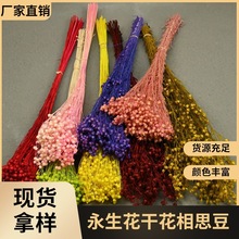 �û��������ɻ����F����˼�����diy���ϰ���������Ϧ�Y��[��