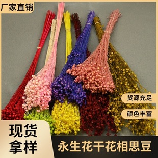 �û��������ɻ����F����˼�����diy���ϰ���������Ϧ�Y��[��