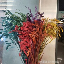 ��С�βݡ���ɫ ������ Ұ����  ���� ����滨 �������l