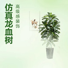�¿�W�L������Ѫ��ǧ��ľ���Կ͏d���P����b߼��з����٘�