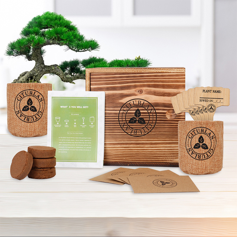 Cross-Border Biodegradable Wooden Seed Set Creative Plant Growth Gift Box Children and Adults Factory Direct Sales Wholesale