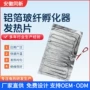 防水育苗耐高温植物幼苗